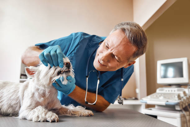 Best Emergency Treatment for Dental Infections or Abscesses in Guthrie, OK